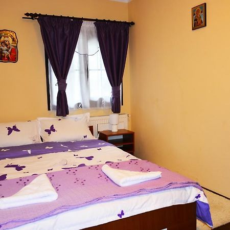Casuta Lu' Liviu Villa Borsa  Kültér fotó