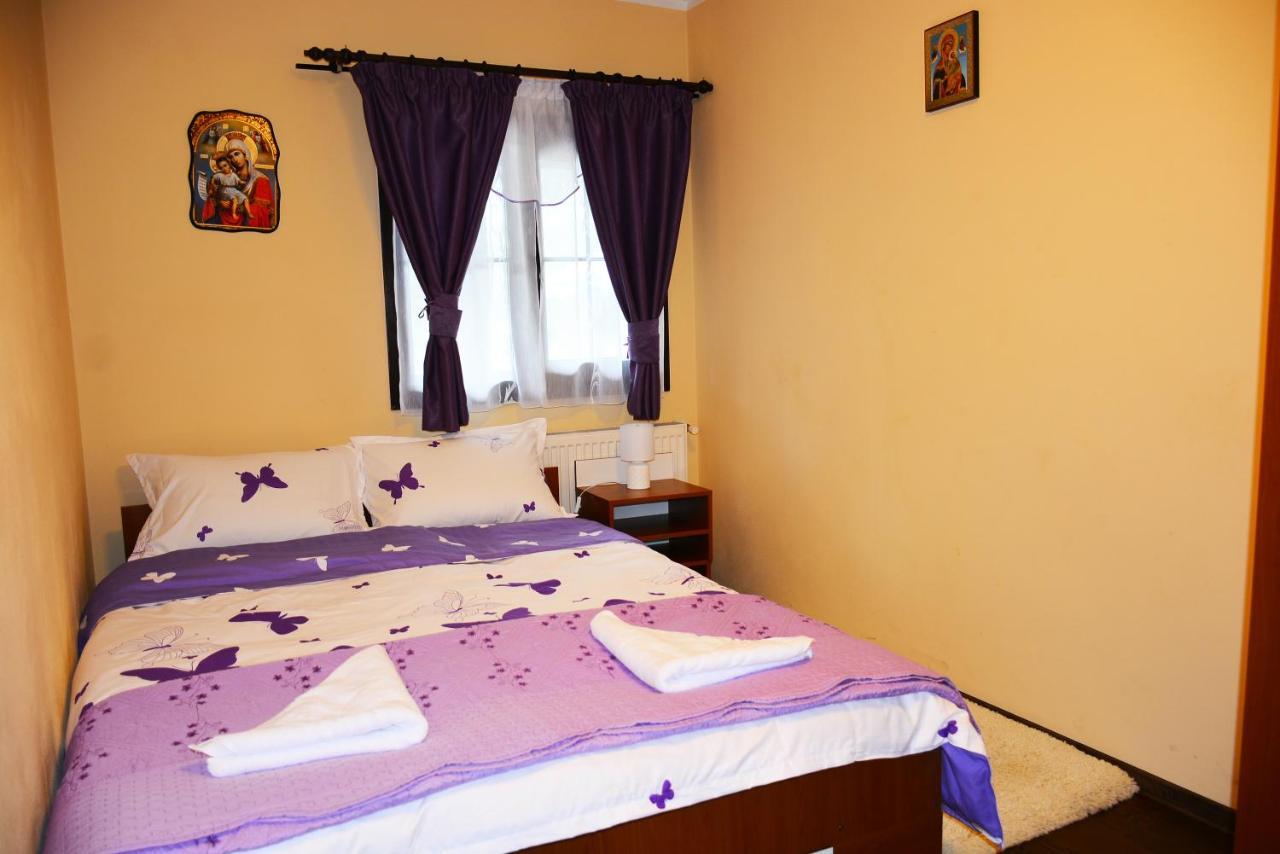 Casuta Lu' Liviu Villa Borsa  Kültér fotó