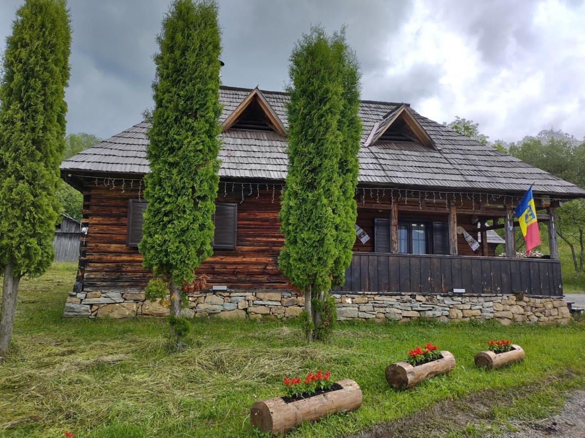 Casuta Lu' Liviu Villa Borsa  Kültér fotó